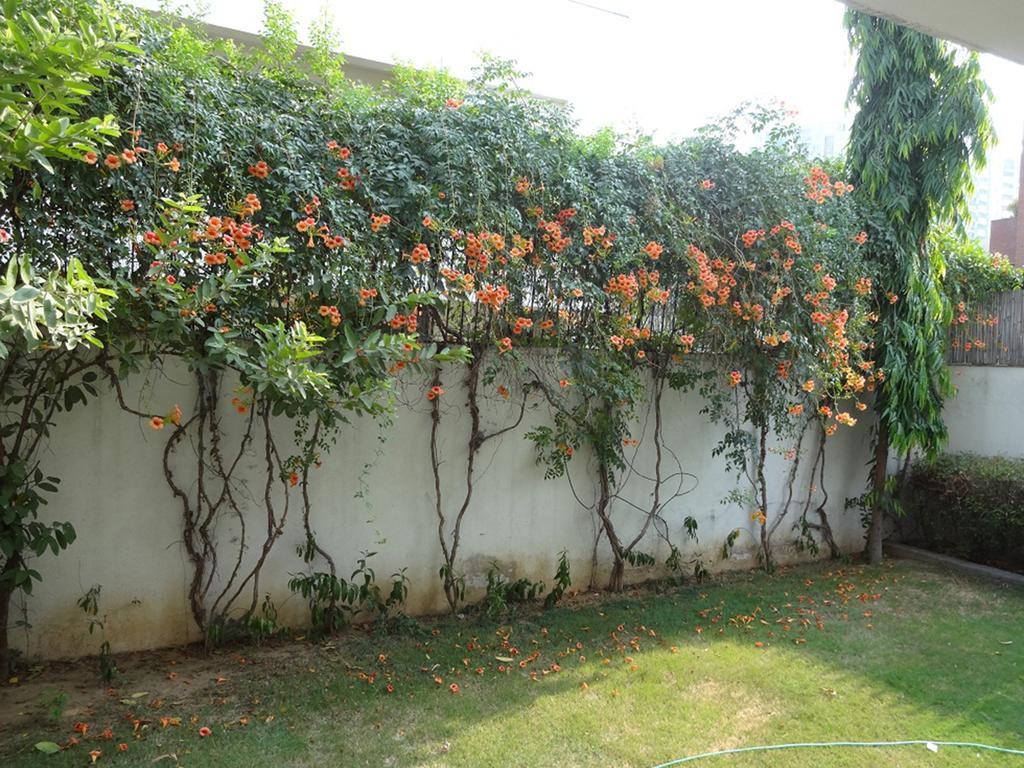 Cinnamon Homestay, Off Sohna Road Gurgaon Exterior photo